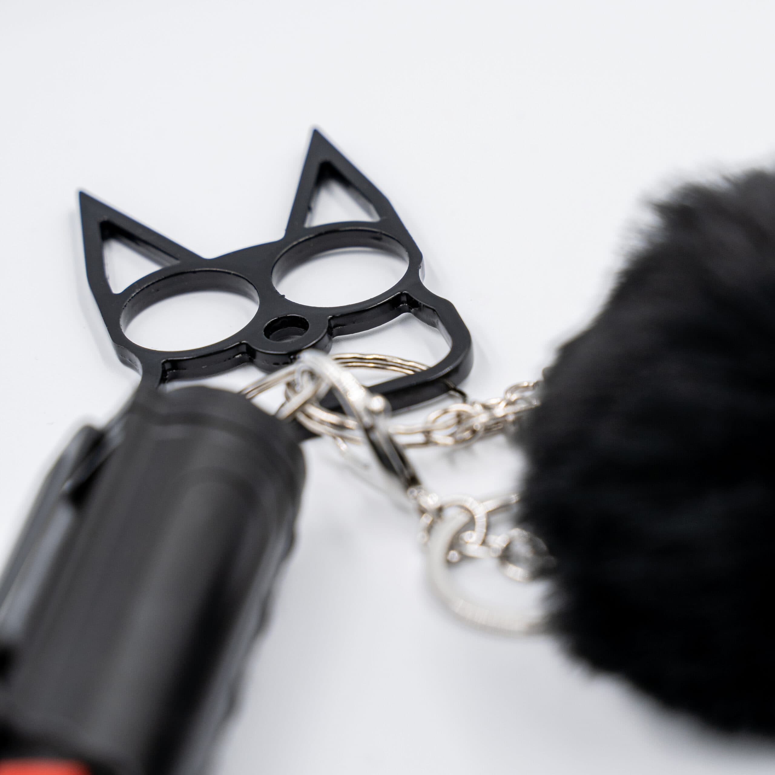Black Kitten